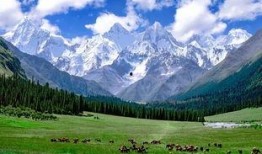 新疆景点爆料事件视频网,揭秘神秘美景背后的故事