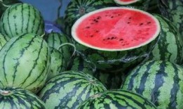 库尔勒吃瓜网红视频,带你领略瓜乡风情