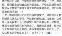 如何联系红星新闻爆料,如何快速便捷地提供新闻线索