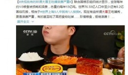 黑哥爆料餐饮视频大全集,餐饮行业幕后真相大揭秘