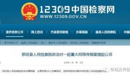 最新案件爆料信息