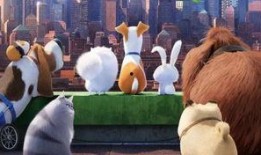 毛绒电影在线观看,温馨时光，在线重温经典童话