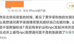 吃瓜爆料肖宇梁视频