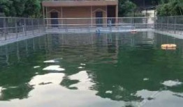 广州农庄爆料视频大全,揭秘田园生活真实面貌