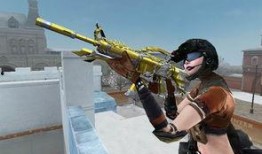 黑花武器最新爆料图片,神秘外观与强大性能一窥究竟