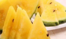 免费吃瓜入口在哪里,带你轻松解锁美食盛宴