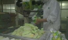 冰淇淋爆料新闻,揭秘行业黑幕，消费者权益如何保障？