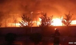 台儿庄金币爆料事件视频