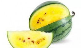 免费吃瓜入口在哪里,带你轻松解锁美食盛宴