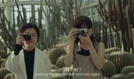 摄影师角色故事视频爆料,揭秘摄影师角色故事背后的精彩瞬间