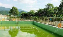 广州农庄爆料视频大全,揭秘田园生活真实面貌