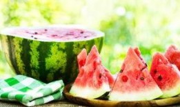 娱乐吃瓜菌的作品,揭秘娱乐圈那些不为人知的幕后故事