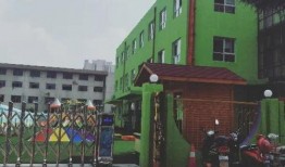 郑州风暴爆料最新消息今天,揭秘今日重大事件真相