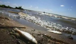 日本核废水最新爆料