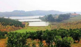 广州农庄爆料视频大全,揭秘田园生活真实面貌