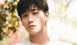 邢昭林梁洁娱乐爆料,甜蜜恋情曝光，幕后故事引热议