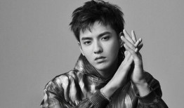 吴亦凡事件最新爆料图片,细节披露引舆论热议