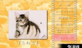 小猫虎子被爆料视频,萌态可掬的视频引发网友热议