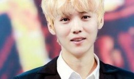 鹿晗韩国爆料视频合集下载,韩国爆料视频合集深度解析