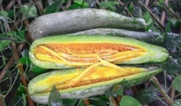 200w粉丝的网红吃瓜,独家爆料引热议