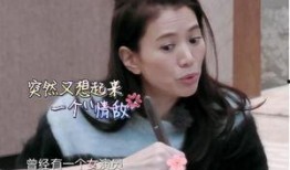 谢娜袁咏仪爆料视频播放