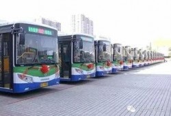 汕头公交爆料事件始末视频,真相与争议的交织