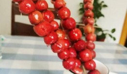 地摊糖葫芦爆料视频,街头美食背后的故事