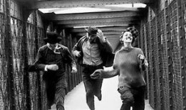 e.t电影在线观看,e.t.电影在线观看之旅