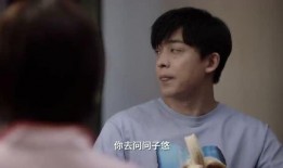 隔壁妻子在线观看神马,揭秘家庭伦理剧背后的真实故事