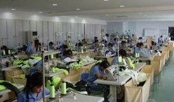 石家庄服装厂爆料视频,爆料视频曝光生产内幕