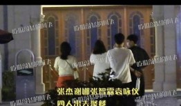 谢娜袁咏仪爆料视频播放