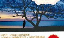 红字在线观看免费,揭秘罪恶与救赎的史诗之旅