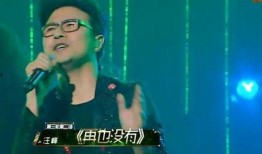 下坠 汪峰 在线观看,探寻音乐的力量与人生的跌宕起伏