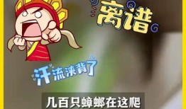 吃瓜唐十八免费阅读,揭秘宫廷秘闻，免费畅读宫廷风云录