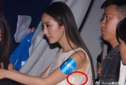 杨幂娱乐圈最新爆料图片