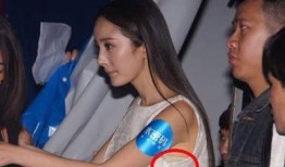 杨幂娱乐圈最新爆料图片